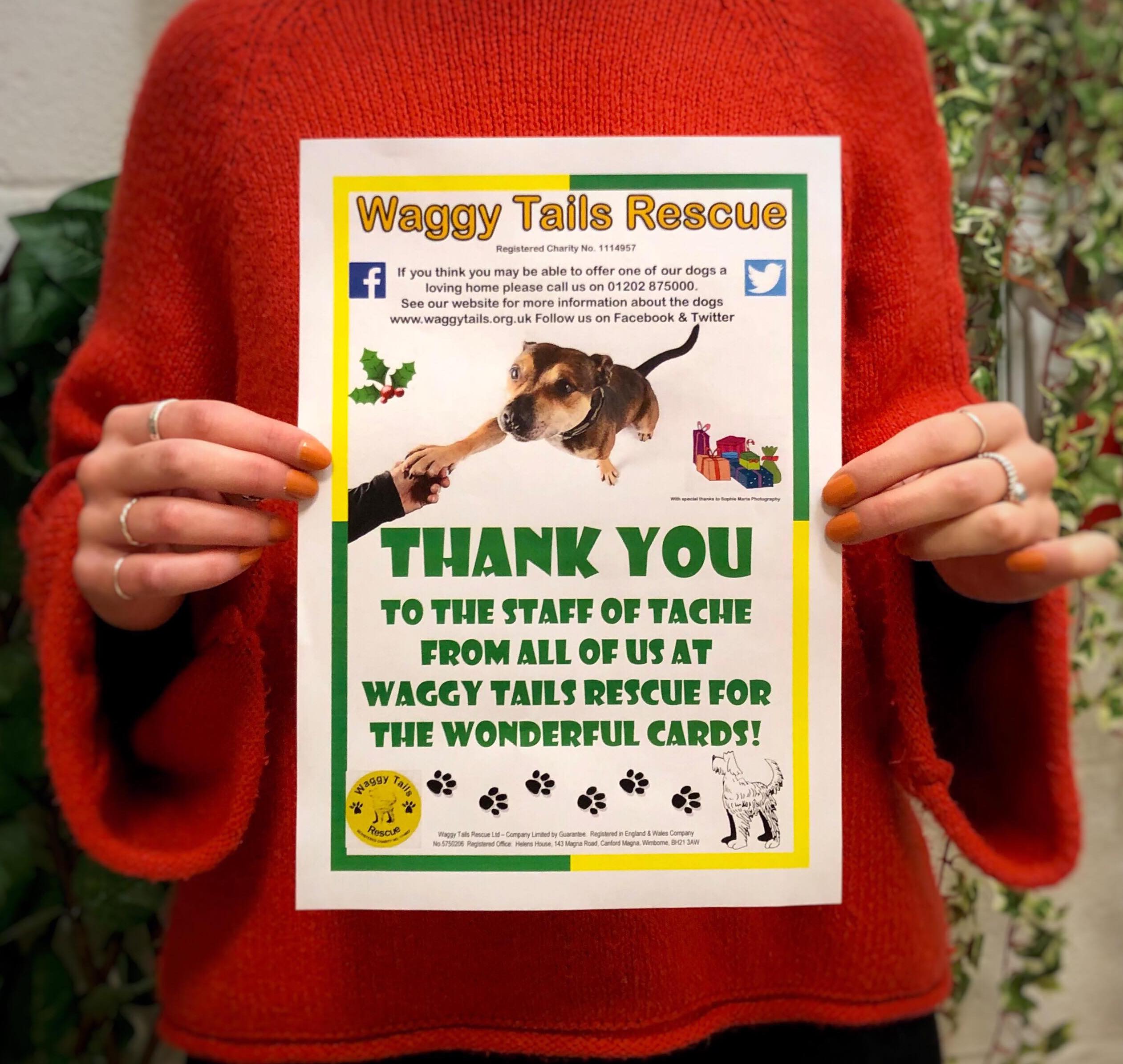 Wagging tails hot sale dog rescue